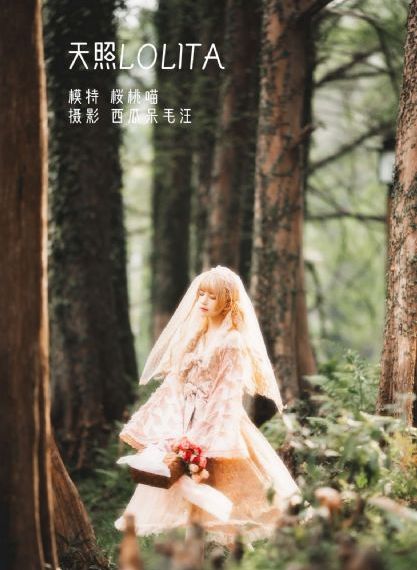 韩国电影下女在线观看